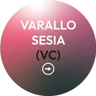 Via<br>Carelli 13